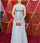 Filename=184.jpg
Filesize=2418KiB
Dimensions=3284x4926
Date added=Nov 17, 2025 184.jpg