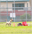 Filename=051.jpg
Filesize=780KiB
Dimensions=3000x1783
Date added=Nov 13, 2025 051.jpg