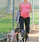 Filename=042.jpg
Filesize=2408KiB
Dimensions=2279x3418
Date added=Nov 13, 2025 042.jpg