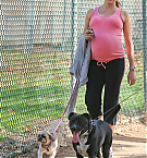 Filename=051.jpg
Filesize=2315KiB
Dimensions=2295x3442
Date added=Nov 13, 2025 051.jpg