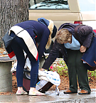 Filename=002.jpg
Filesize=3508KiB
Dimensions=3303x2313
Date added=Nov 13, 2025 002.jpg