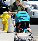 Filename=008.jpg
Filesize=1133KiB
Dimensions=2400x3488
Date added=Nov 13, 2025 008.jpg