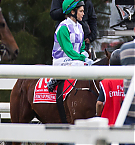 Filename=005.jpg
Filesize=200KiB
Dimensions=1003x1504
Date added=Nov 14, 2025 005.jpg