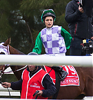 Filename=008.jpg
Filesize=206KiB
Dimensions=1468x978
Date added=Nov 14, 2025 008.jpg