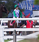 Filename=009.jpg
Filesize=117KiB
Dimensions=873x893
Date added=Nov 14, 2025 009.jpg