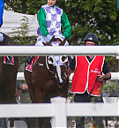 Filename=010.jpg
Filesize=247KiB
Dimensions=1035x1552
Date added=Nov 14, 2025 010.jpg