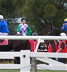 Filename=013.jpg
Filesize=629KiB
Dimensions=2791x1861
Date added=Nov 14, 2025 013.jpg