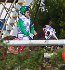 Filename=015.jpg
Filesize=260KiB
Dimensions=1653x1102
Date added=Nov 14, 2025 015.jpg