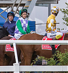 Filename=022.jpg
Filesize=234KiB
Dimensions=1232x822
Date added=Nov 14, 2025 022.jpg