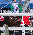 Filename=023.jpg
Filesize=161KiB
Dimensions=699x1049
Date added=Nov 14, 2025 023.jpg