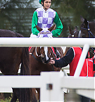 Filename=024.jpg
Filesize=199KiB
Dimensions=1034x1550
Date added=Nov 14, 2025 024.jpg