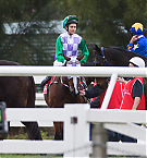 Filename=038.jpg
Filesize=403KiB
Dimensions=2119x1560
Date added=Nov 14, 2025 038.jpg