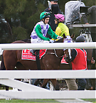 Filename=041.jpg
Filesize=429KiB
Dimensions=2195x1637
Date added=Nov 14, 2025 041.jpg