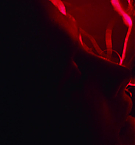 Filename=2006.jpg
Filesize=48KiB
Dimensions=1920x792
Date added=May 07, 2025 2006.jpg