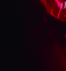 Filename=2007.jpg
Filesize=41KiB
Dimensions=1920x792
Date added=May 07, 2025 2007.jpg