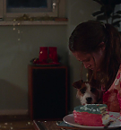 Filename=4705.jpg
Filesize=101KiB
Dimensions=1920x792
Date added=May 07, 2025 4705.jpg