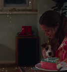 Filename=4707.jpg
Filesize=87KiB
Dimensions=1920x792
Date added=May 07, 2025 4707.jpg