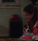 Filename=4708.jpg
Filesize=99KiB
Dimensions=1920x792
Date added=May 07, 2025 4708.jpg