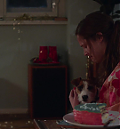 Filename=4710.jpg
Filesize=87KiB
Dimensions=1920x792
Date added=May 07, 2025 4710.jpg