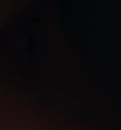 Filename=5330.jpg
Filesize=40KiB
Dimensions=1920x792
Date added=May 07, 2025 5330.jpg