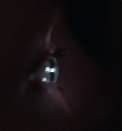 Filename=5331.jpg
Filesize=44KiB
Dimensions=1920x792
Date added=May 07, 2025 5331.jpg