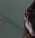 Filename=5760.jpg
Filesize=58KiB
Dimensions=1920x792
Date added=May 07, 2025 5760.jpg