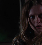 Filename=0888.jpg
Filesize=72KiB
Dimensions=1920x800
Date added=May 07, 2025 0888.jpg