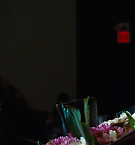 Filename=1185.jpg
Filesize=102KiB
Dimensions=1920x800
Date added=May 07, 2025 1185.jpg