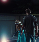 Filename=1310.jpg
Filesize=123KiB
Dimensions=1920x800
Date added=May 07, 2025 1310.jpg