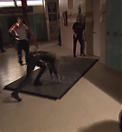 Filename=284.jpg
Filesize=90KiB
Dimensions=1920x1080
Date added=May 06, 2025 284.jpg