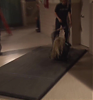 Filename=285.jpg
Filesize=79KiB
Dimensions=1920x1080
Date added=May 06, 2025 285.jpg