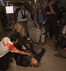 Filename=336.jpg
Filesize=126KiB
Dimensions=1920x1080
Date added=May 06, 2025 336.jpg