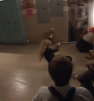 Filename=385.jpg
Filesize=84KiB
Dimensions=1920x1080
Date added=May 06, 2025 385.jpg