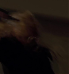 Filename=469.jpg
Filesize=49KiB
Dimensions=1920x1080
Date added=May 06, 2025 469.jpg