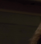 Filename=472.jpg
Filesize=47KiB
Dimensions=1920x1080
Date added=May 06, 2025 472.jpg