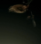 Filename=658.jpg
Filesize=45KiB
Dimensions=1920x1080
Date added=May 06, 2025 658.jpg