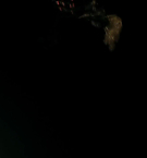 Filename=659.jpg
Filesize=36KiB
Dimensions=1920x1080
Date added=May 06, 2025 659.jpg