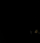 Filename=661.jpg
Filesize=34KiB
Dimensions=1920x1080
Date added=May 06, 2025 661.jpg