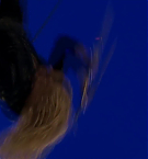 Filename=699.jpg
Filesize=56KiB
Dimensions=1920x1080
Date added=May 06, 2025 699.jpg