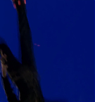 Filename=700.jpg
Filesize=47KiB
Dimensions=1920x1080
Date added=May 06, 2025 700.jpg