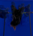 Filename=703.jpg
Filesize=81KiB
Dimensions=1920x1080
Date added=May 06, 2025 703.jpg