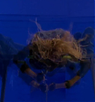 Filename=704.jpg
Filesize=80KiB
Dimensions=1920x1080
Date added=May 06, 2025 704.jpg