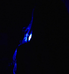 Filename=1173.jpg
Filesize=74KiB
Dimensions=1920x800
Date added=May 07, 2025 1173.jpg