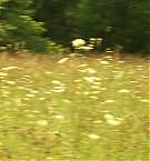 Filename=1506.jpg
Filesize=180KiB
Dimensions=1920x816
Date added=May 06, 2025 1506.jpg