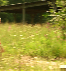 Filename=1509.jpg
Filesize=195KiB
Dimensions=1920x816
Date added=May 06, 2025 1509.jpg