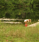 Filename=1515.jpg
Filesize=261KiB
Dimensions=1920x816
Date added=May 06, 2025 1515.jpg