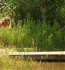 Filename=1516.jpg
Filesize=495KiB
Dimensions=1920x816
Date added=May 06, 2025 1516.jpg