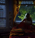 Filename=2655.jpg
Filesize=256KiB
Dimensions=1920x816
Date added=May 06, 2025 2655.jpg