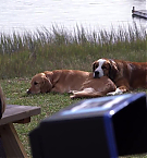 Filename=214.jpg
Filesize=145KiB
Dimensions=1280x720
Date added=May 07, 2025 214.jpg