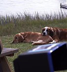 Filename=215.jpg
Filesize=145KiB
Dimensions=1280x720
Date added=May 07, 2025 215.jpg